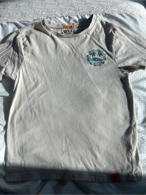 Free Planet Light Gray Tee with Teal Palm Graphic